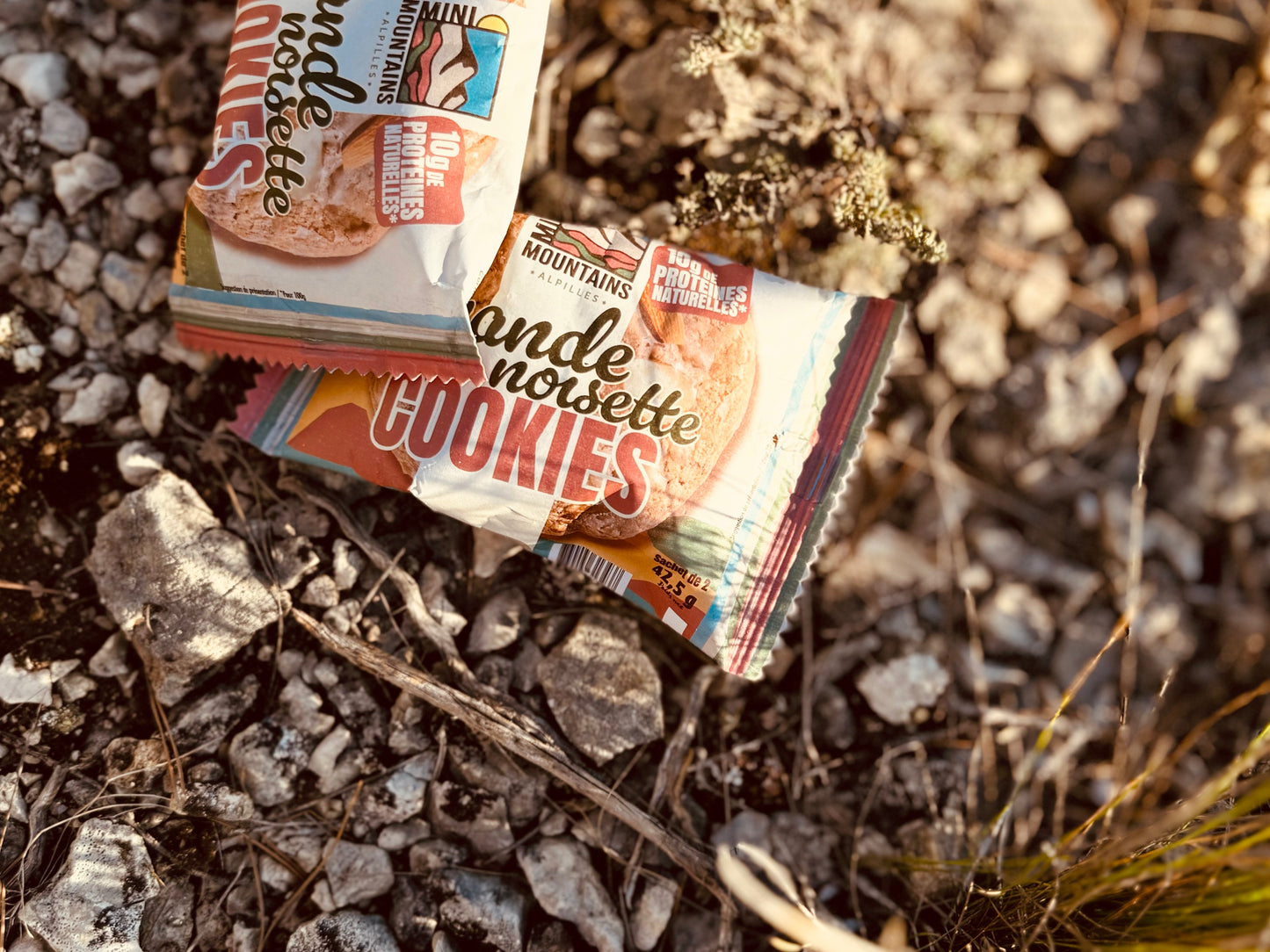 Ma boîte à cookies (7)